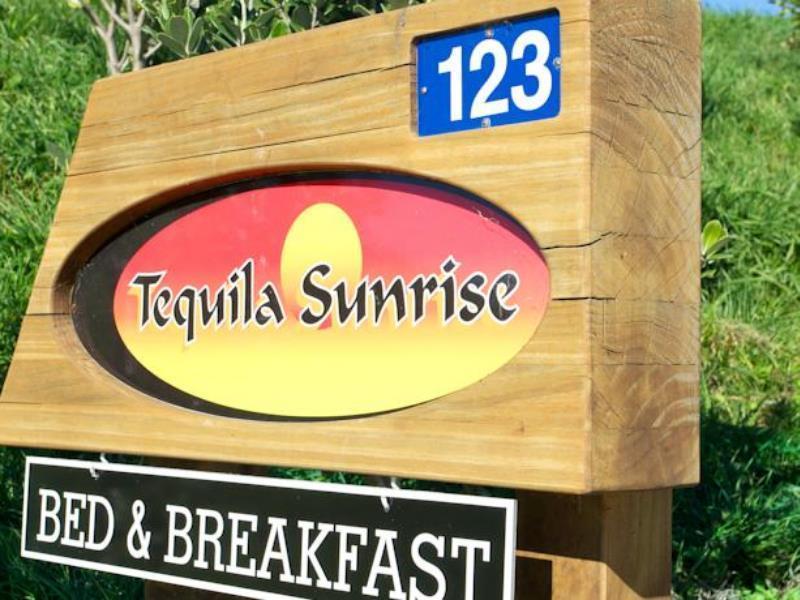 Napier B&B - Tequila Sunrise Eskdale Exteriör bild